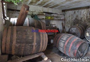 imagem_13