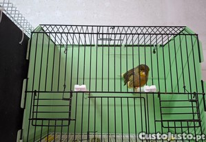 imagem_3