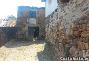 imagem_11