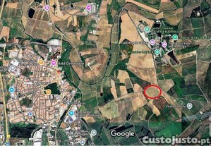 Terreno em Carvalhal de 50600,00 m�