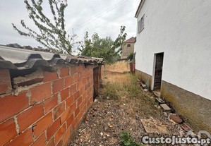 imagem_15