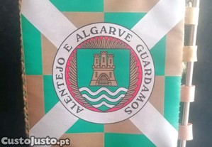 imagem_7
