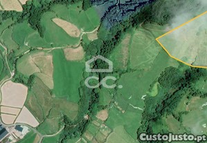 Terreno com 36.620 m2 - Ginetes - Ponta Delgada