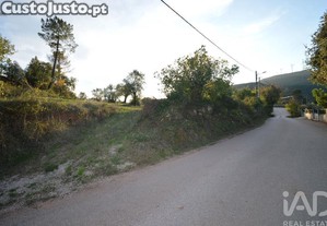 imagem_13