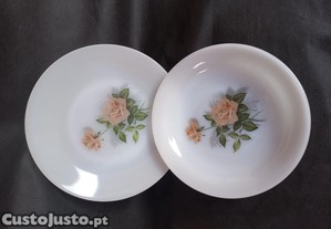 Par de Pratos ARCOPAL, vintage