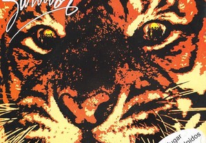 Vinyl Survivor Eye of The Tiger
