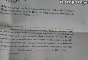imagem_5