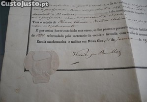 imagem_7