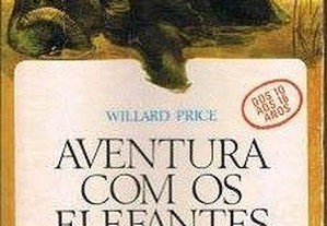 imagem_2