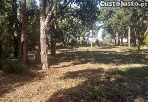 Terreno Agrícola em Aljubarrota