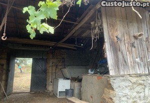 imagem_9