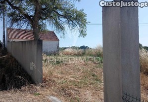 imagem_12