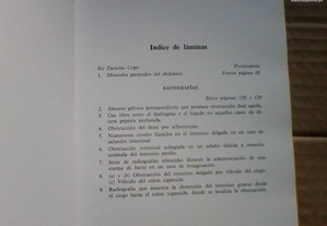 imagem_8