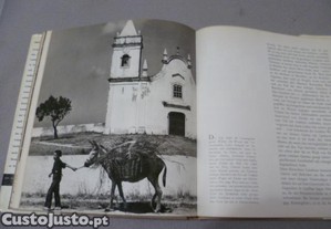 imagem_6