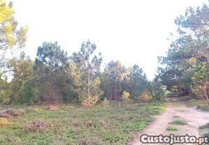 imagem_21