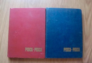 Revistas dos anos 60, Pisca-Pisca/ mocidade portuguesa