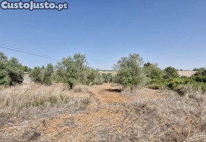 Terreno em Azambujeira e Malaqueijo de 12080,00 m²