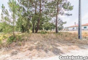 Terreno Agrcola em Marinha Grande