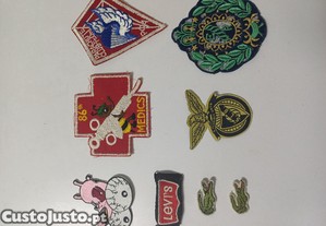 imagem_4