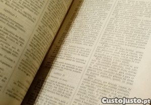 imagem_7