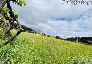 imagem_17