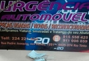 imagem_1