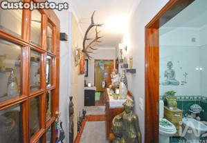 imagem_14