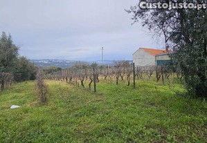 Terreno na zona de Silgueiros