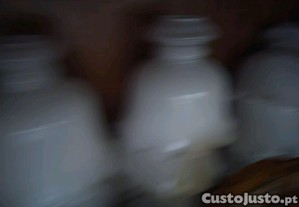 imagem_3