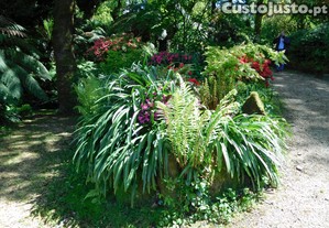 Negcio Localizao de excelncia com negcio rentvel a funcionar ( Coimbra Solum)