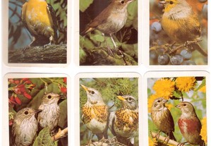 Coleção completa de 12 calendários sobre pássaros 1992.