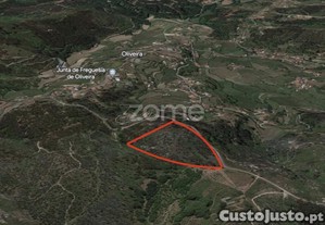 Terreno Rustico Em Fonte Arcada E Oliveira...
