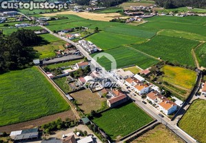 imagem_8