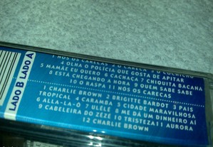 imagem_8