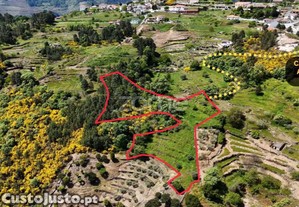 Terreno De 4437M2 Com Ruína, Santa Marta De...