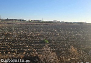 Terreno Agrícola em Atouguia da Baleia