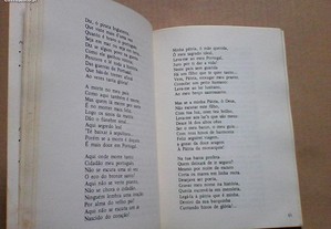 imagem_7
