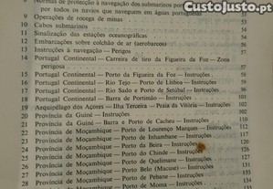 imagem_3