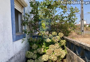imagem_27