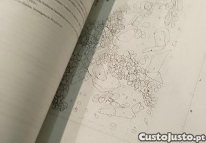 imagem_8