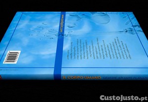 imagem_8
