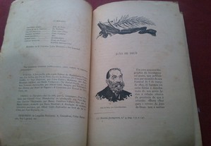 imagem_2