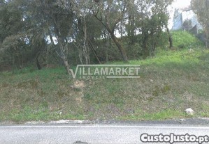 imagem_7