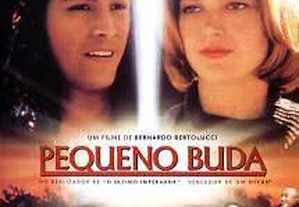 DVD Pequeno Buda com Keanu Reeves Filme de Bernardo Bertolucci Bridget Fonda