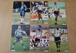 imagem_5