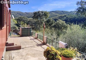 Terreno Agr�cola em Pedr�g�o Pequeno