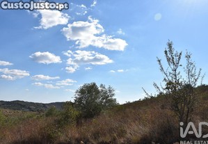 imagem_22