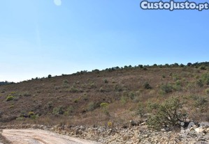 imagem_14