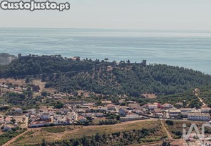 imagem_6