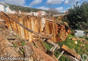 imagem_16